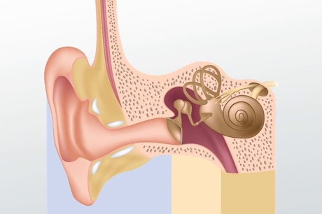 Cuidado del oído interno